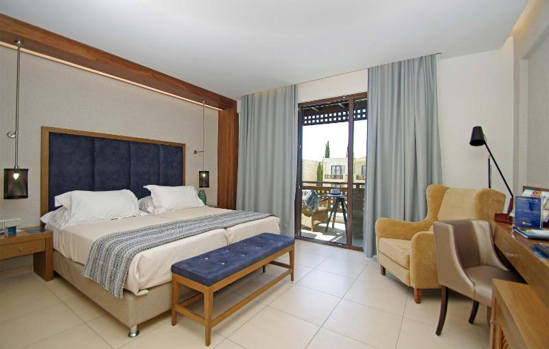 Double Executive Shared Pool (Adults Only) image 1