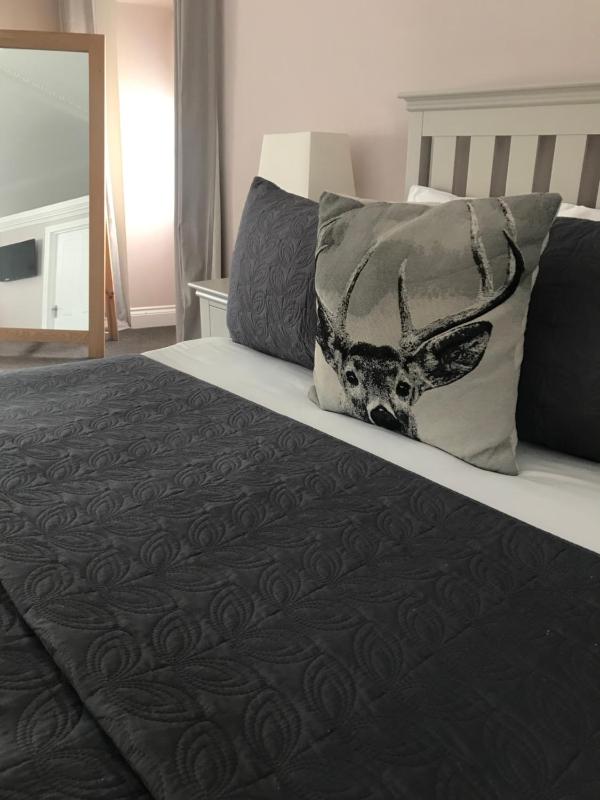 Deluxe Double or Twin Room image 3