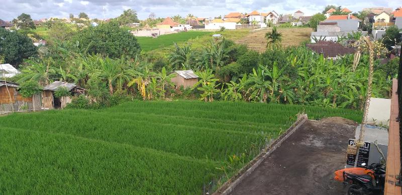 PD Bali Guesthouse - image 22