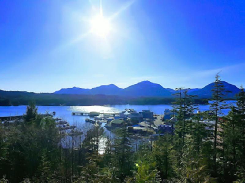 Standard Single Room with Sea View image 1
