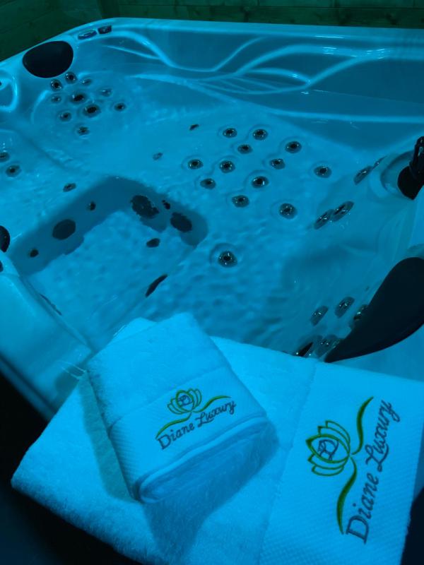 Suite with Hot Tub image 3