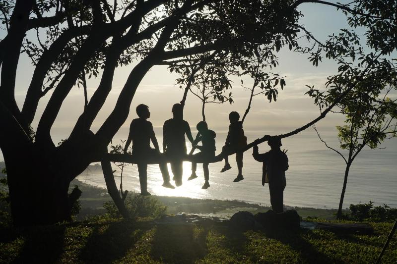 Juhu Farmstay - image 4