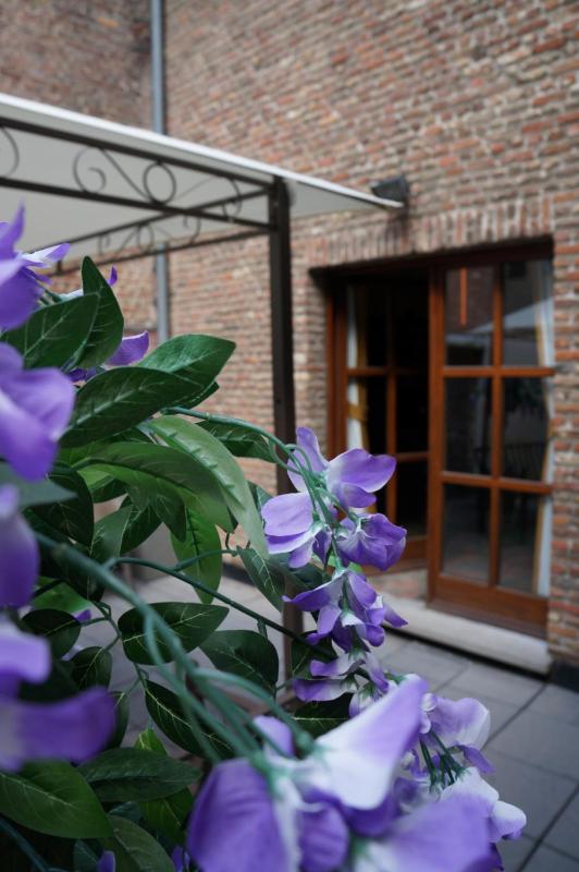 Deluxe Suite image 2