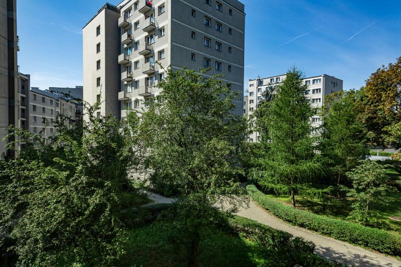 One-Bedroom Apartment image 4