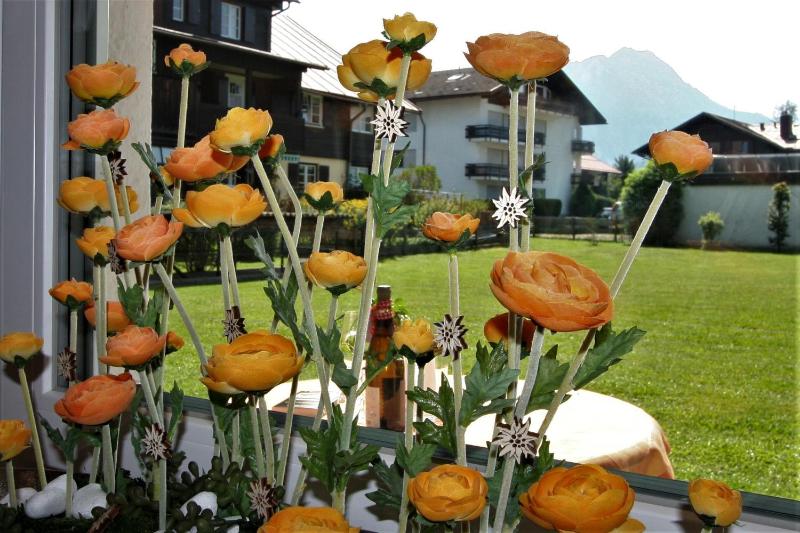Alpenflair Ferienwohnungen Whg. 226 Wiesacker - image 9