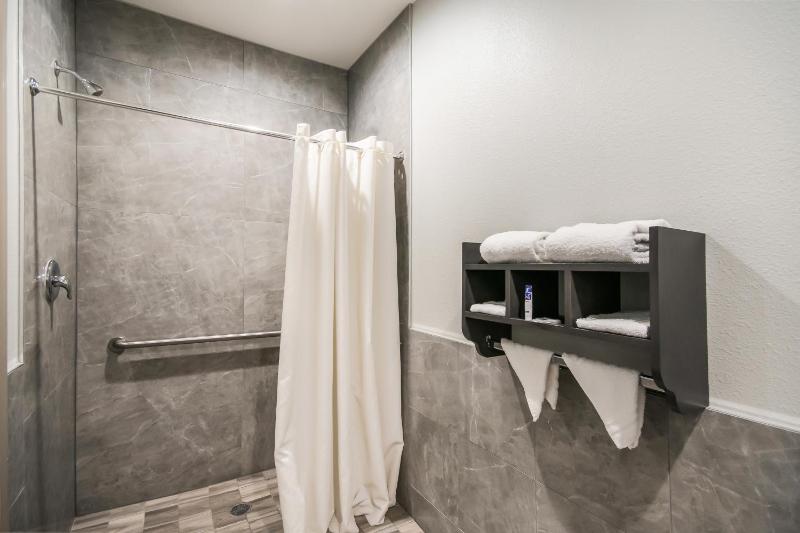 Accessible King Bed Suite Kitchnette image 1