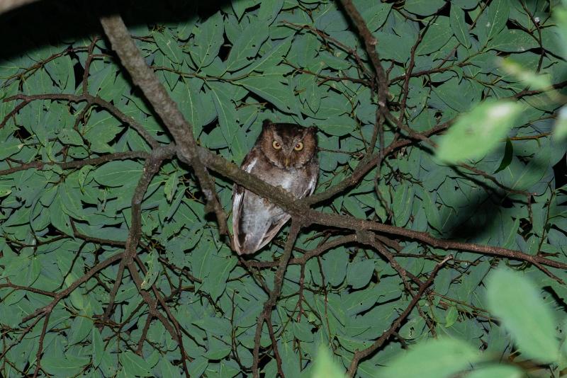 Juhu Farmstay - image 49