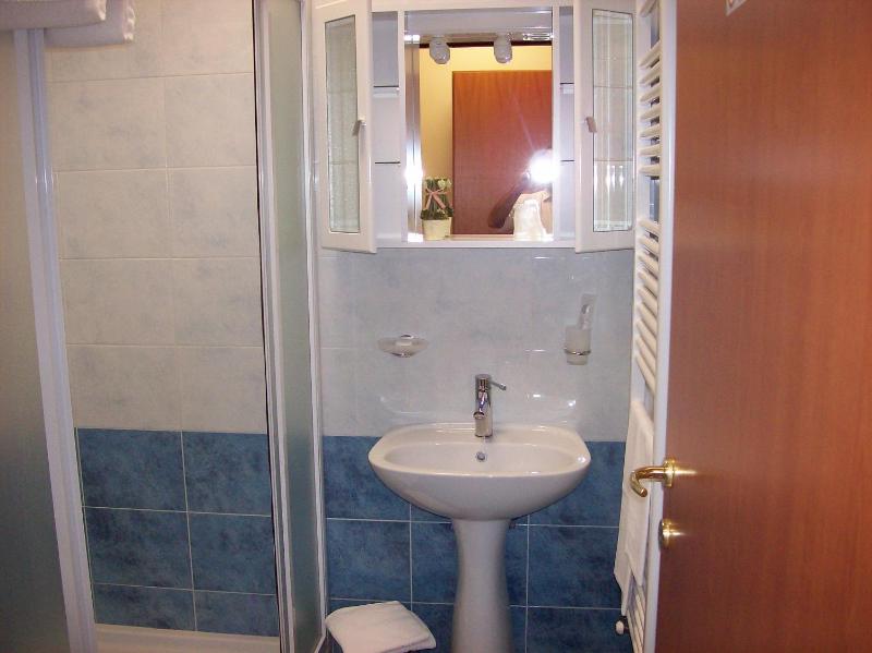 Single Room image 4