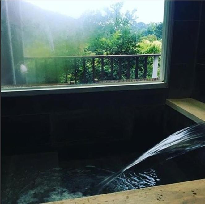 Juhu Farmstay - image 9