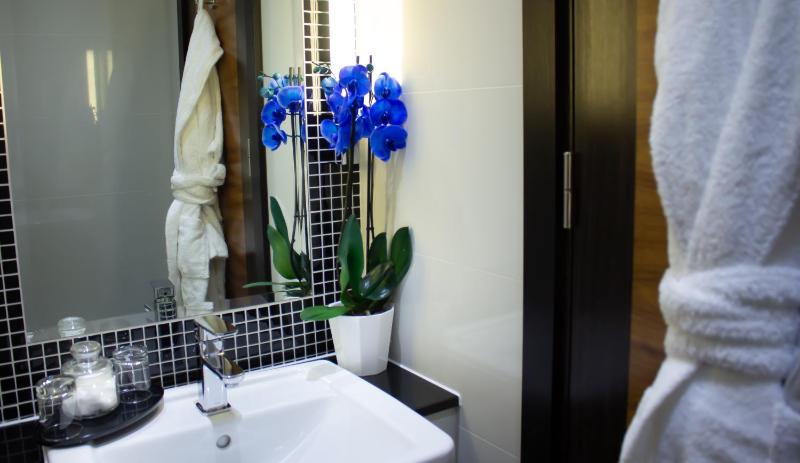Deluxe Twin Room image 1