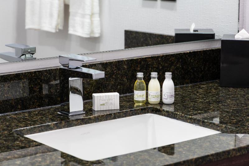 Premium Suite image 2