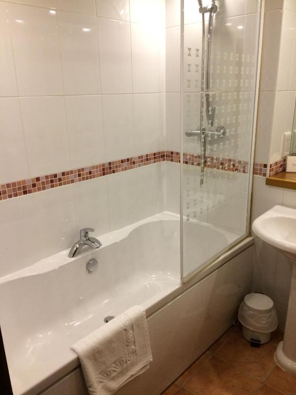 Standard Single Room image 4