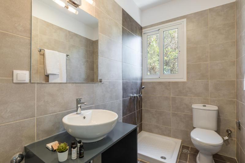 Standard Apartment image 4