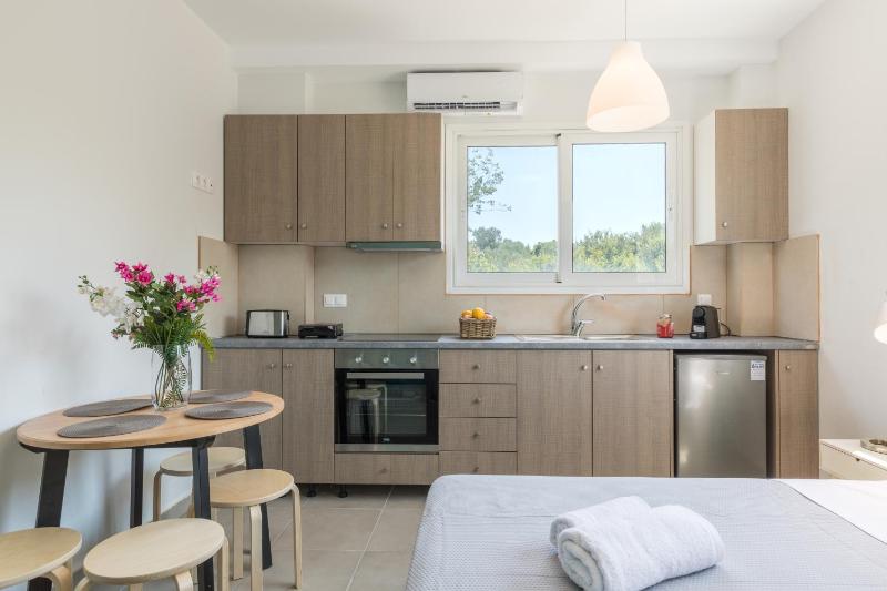 Standard Apartment image 1