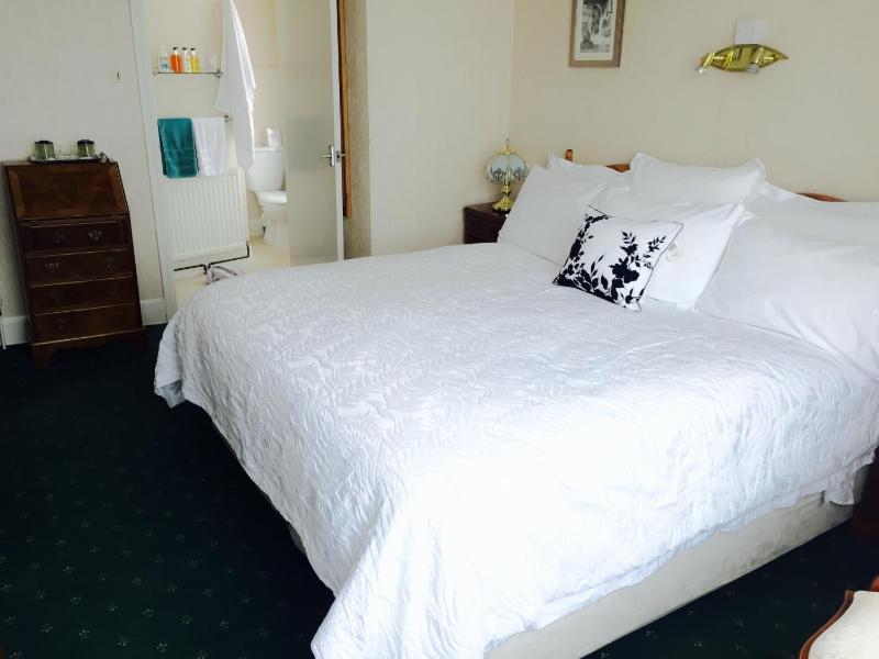 Superior Double or Twin Room image 3