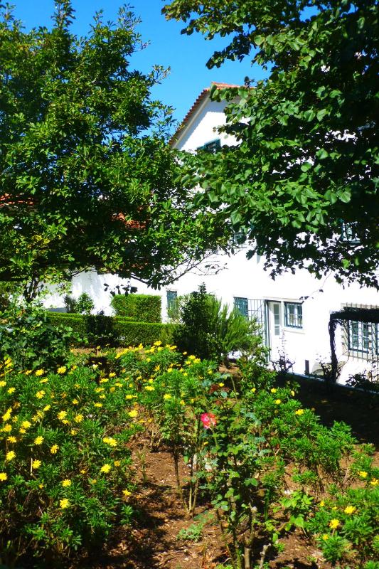 Comfy Sintra - image 5