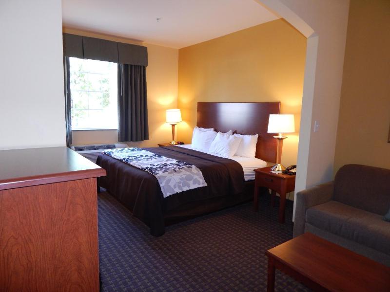 King Room - Non-Smoking image 2