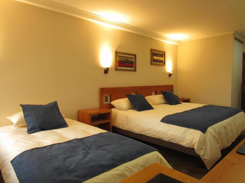 Hotel Pucón Indómito - image 4