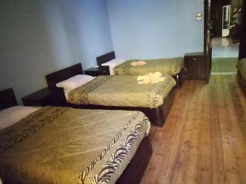 Freedom Hostel - image 11