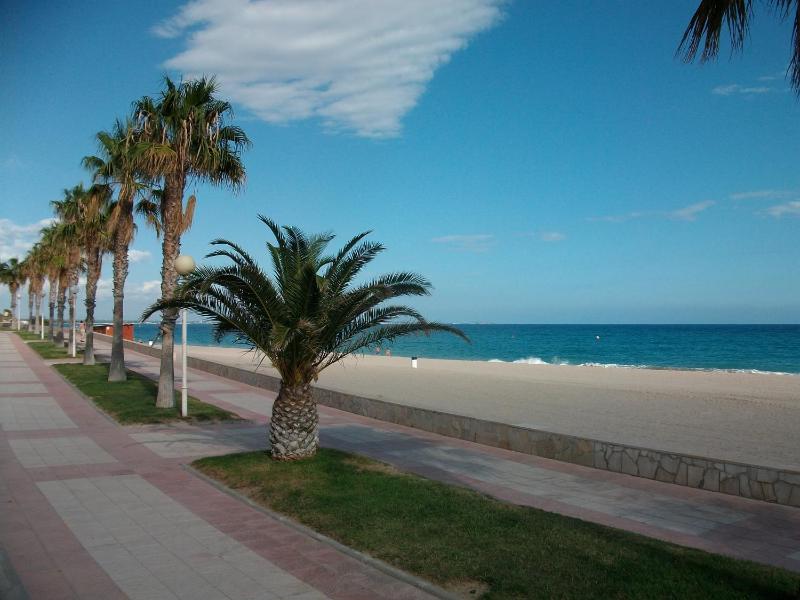 One-Bedroom Apartment - Beachfront image 4