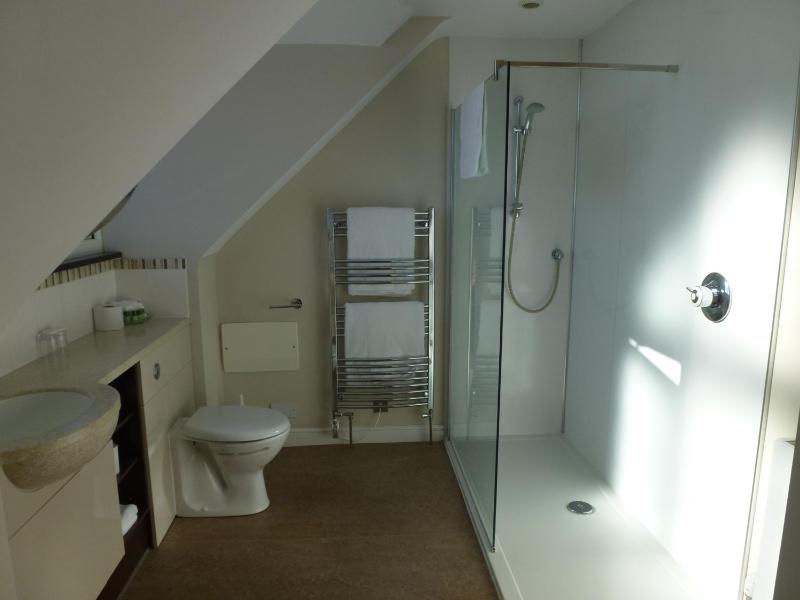 Superior Double Room image 4