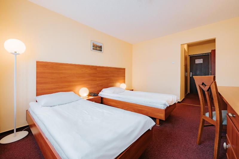 Standard Twin Room image 3