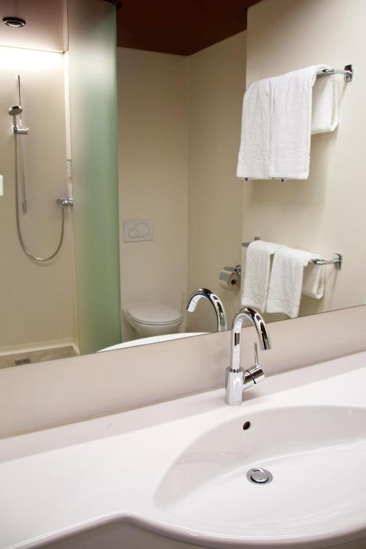 Business Single Room image 2