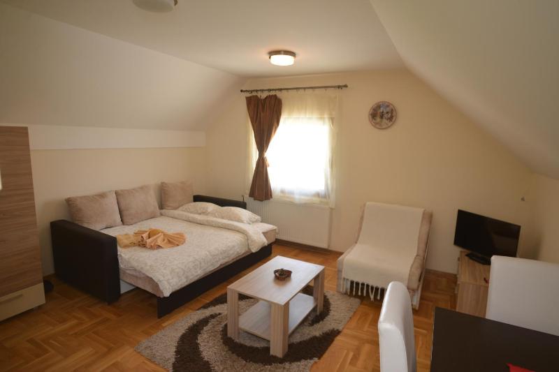 Studio Apartment image 2