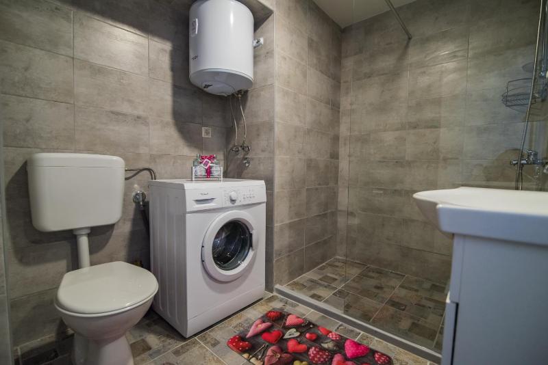 Two-Bedroom Apartment image 4