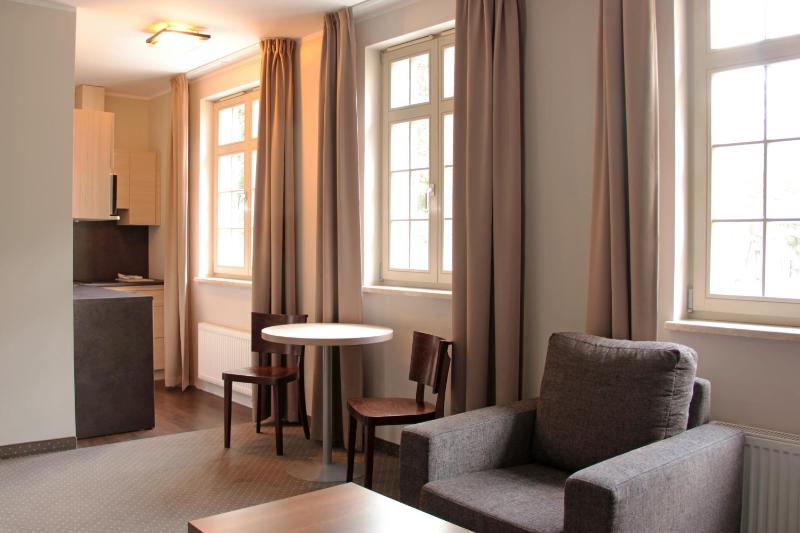 One-Bedroom Apartment image 4