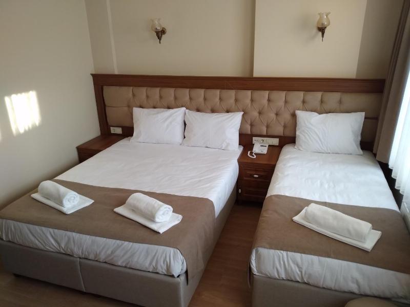 Ribad Hotel Sultanahmet - image 2