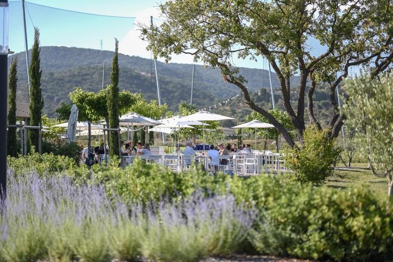 Clos des Oliviers Grimaud - Meublé de Tourisme - image 12