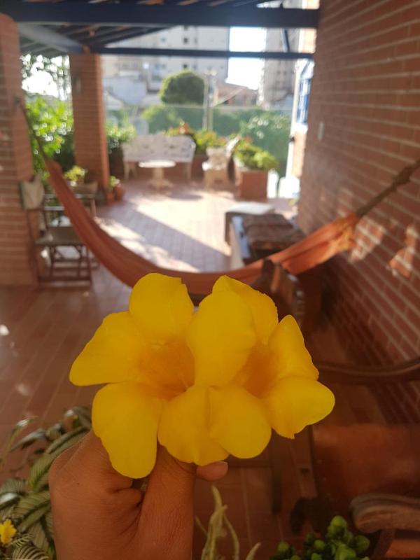 Hostel Villa Virtudes - image 24