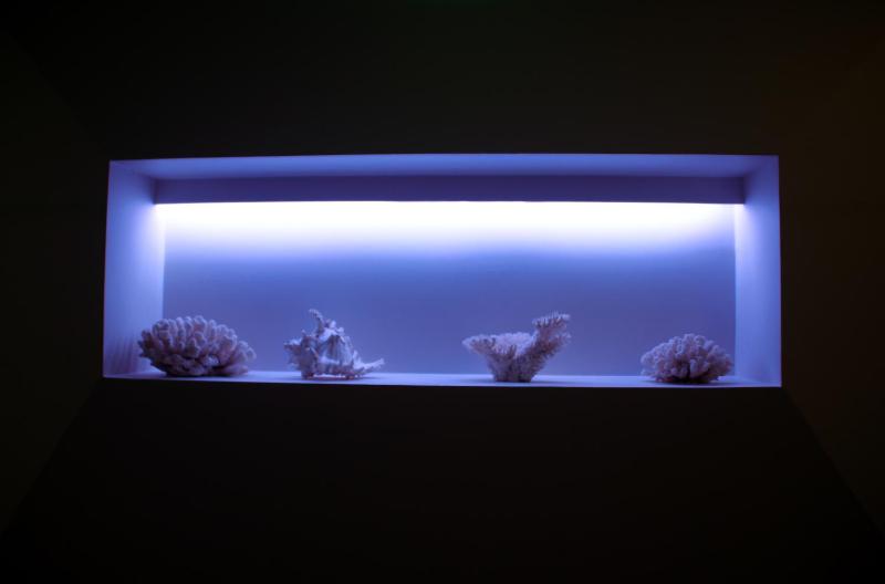 Aqua Ria Boutique Hotel - image 6