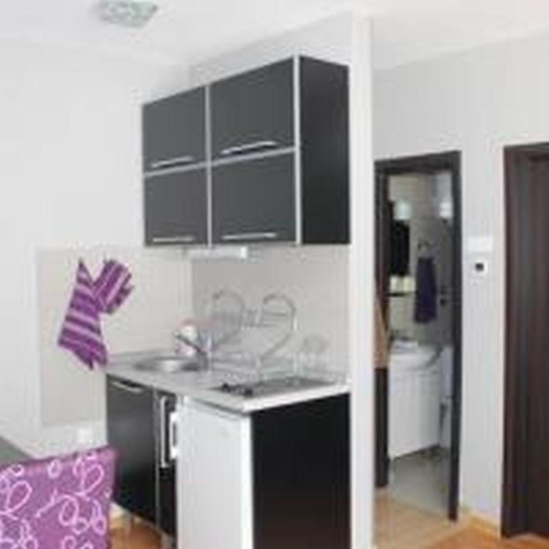 One-Bedroom Apartment image 3