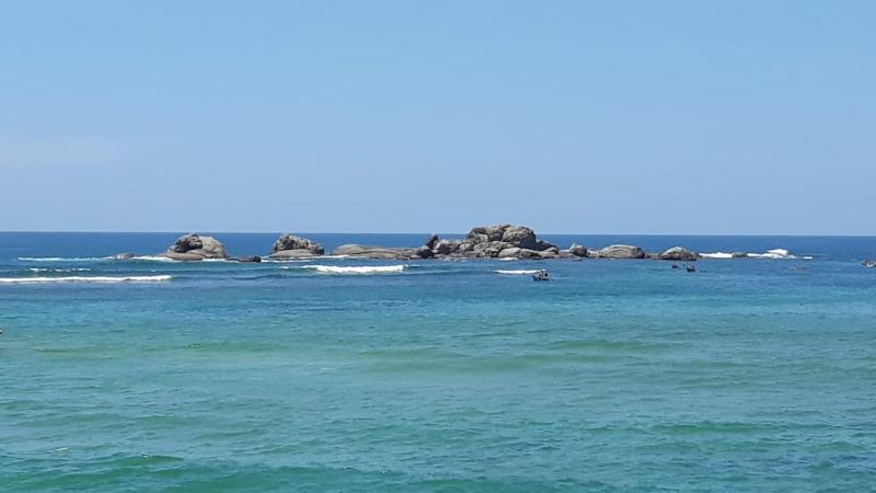 Dolphin Villa - image 9