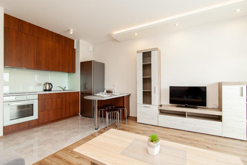One-Bedroom Apartment image 3