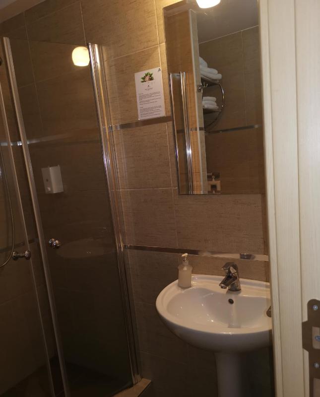 One-Bedroom Apartment image 4