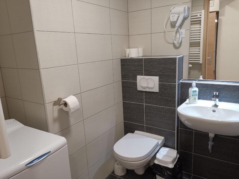 Corvin holiday Apartments hotel - image 9