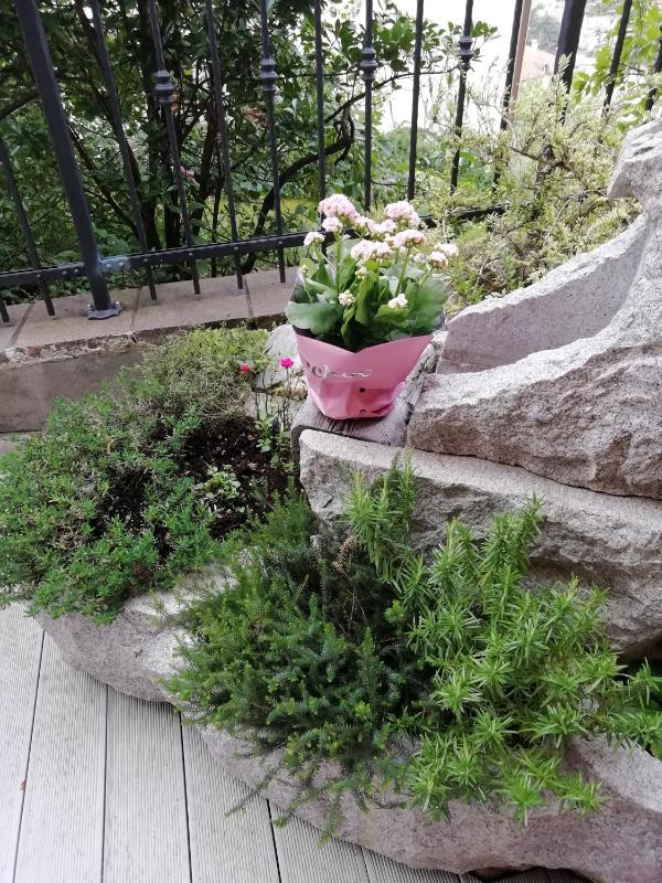 Double Room with Private Bathroom image 3