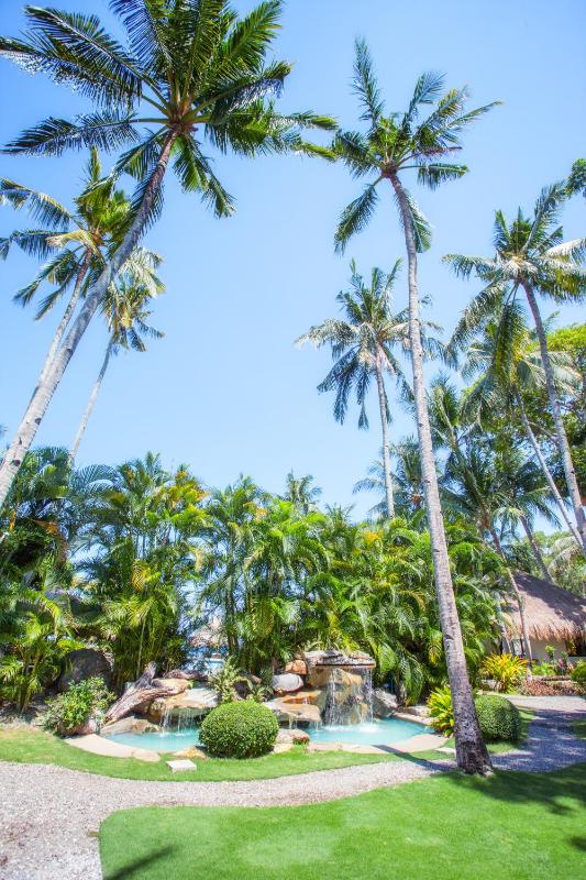 Pura Vida Beach & Dive Resort - image 31