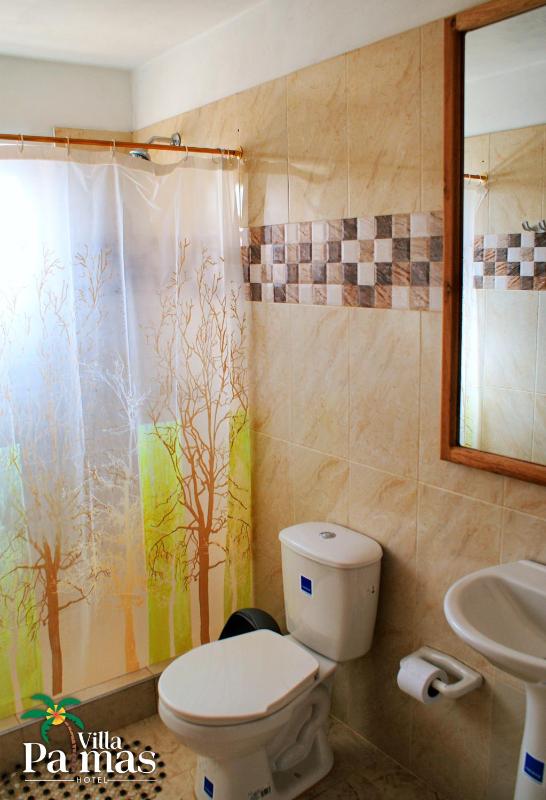 Hotel Villa Palmas - image 10