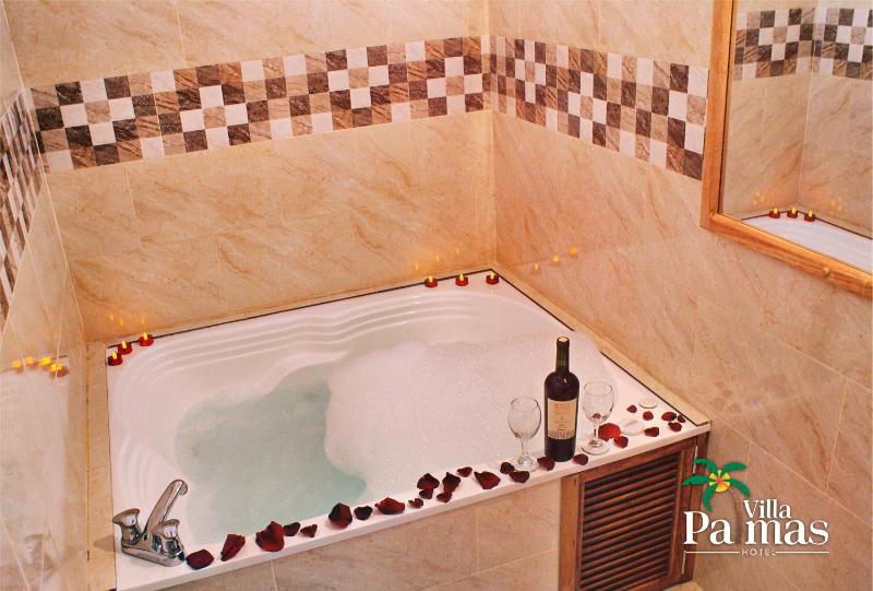 Hotel Villa Palmas - image 13