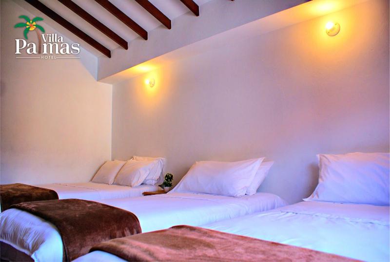 Hotel Villa Palmas - image 9