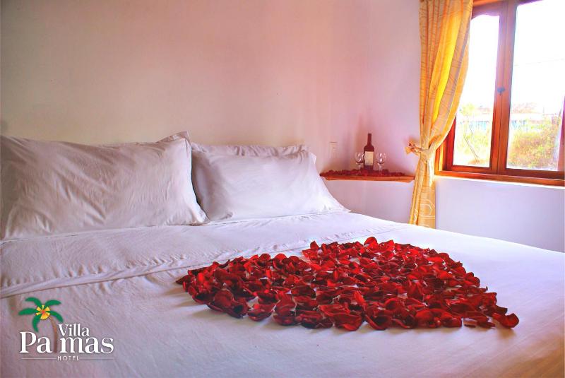 Hotel Villa Palmas - image 11