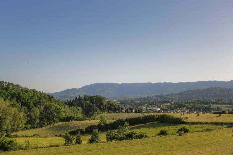 Suite with Garden View image 1