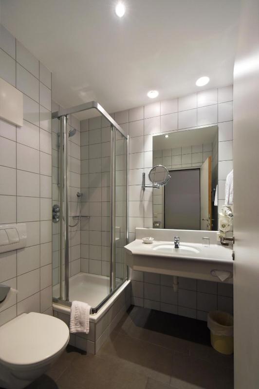 Business Single Room image 4