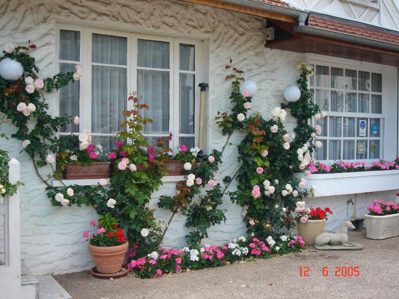 Standard Double Room image 1