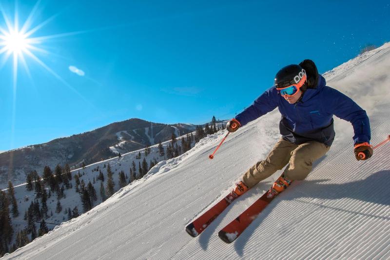 One-Bedroom Apartment image 2