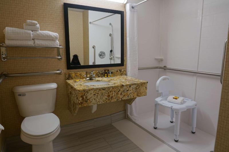 King Room with Roll-in Shower - Mobility Accessible/Non-Smoking image 2